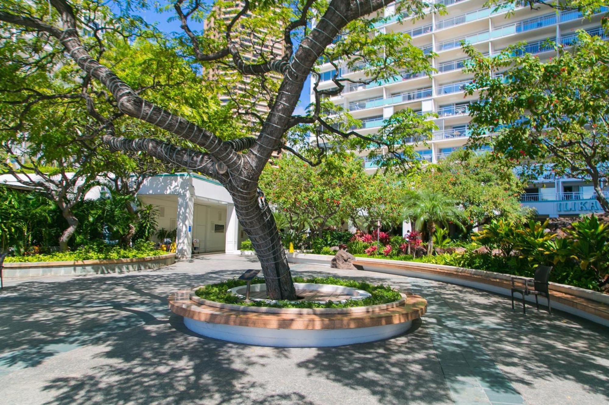 Ilikai Tower 1340 Lagoon View 1Br Гонолулу Экстерьер фото